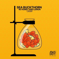 Пиво Sea Buckthorn With Honey And Lemon Пиво Sea Buckthorn With Honey And Lemon