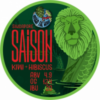 Пиво Saison Kiwi + Hibiscus