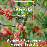 Пиво Apricot x Raspberry Imperial Sour Ale