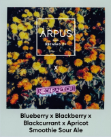Пиво Ārpus x Neon Raptor Blueberry x Blackberry x Blackcurrant x Apricot Smoothie Sour Ale Пиво Ārpus x Neon Raptor Blueberry x Blackberry x Blackcurrant x Apricot Smoothie Sour Ale