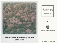 Пиво Blackcurrant x Blueberry x Citra Sour DIPA Пиво Blackcurrant x Blueberry x Citra Sour DIPA