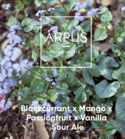 Пиво Blackcurrant x Mango x Passionfruit x Vanilla Sour Ale