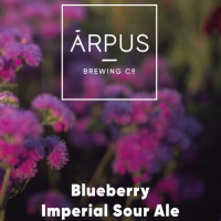 Пиво Blueberry Imperial Sour Ale