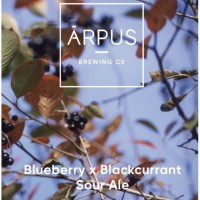 Пиво Blueberry x Blackcurrant Sour Ale