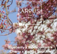 Пиво Blueberry x Blackcurrant x Cherry x Vanilla Sour Ale Пиво Blueberry x Blackcurrant x Cherry x Vanilla Sour Ale