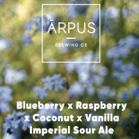 Пиво Blueberry x Raspberry x Coconut x Vanilla Imperial Sour Ale