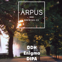 Пиво DDH Enigma DIPA