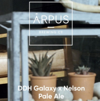 Пиво DDH Galaxy x Nelson Pale Ale