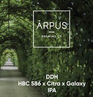 Пиво DDH HBC 586 x Citra x Galaxy IPA
