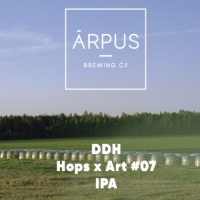 Пиво DDH Hops x Art #07 IPA