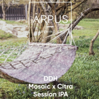 Пиво DDH Mosaic x Citra Session IPA