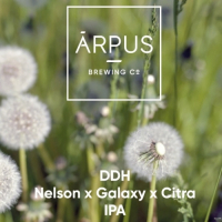 Пиво DDH Nelson x Galaxy x Citra IPA