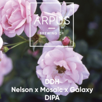 Пиво DDH Nelson x Mosaic x Galaxy DIPA