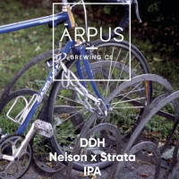 Пиво DDH Nelson x Strata IPA