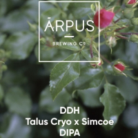 Пиво DDH Talus Cryo x Simcoe DIPA