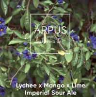 Пиво Lychee x Mango x Lime Imperial Sour Ale