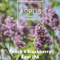 Пиво Peach x Blackberry Sour IPA