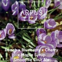Пиво Peach x Blueberry x Cherry x Maple Syrup Smoothie Sour Ale