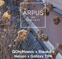 Пиво QDH Mosaic x Riwaka x Nelson x Galaxy Tipa