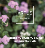 Пиво Raspberry x Cherry x Lime Imperial Sour Ale