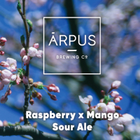 Пиво Raspberry x Mango Sour Ale