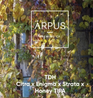 Пиво TDH Citra x Enigma x Strata x Honey TIPA