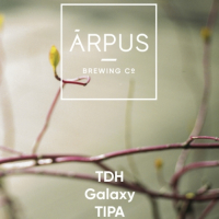 Пиво TDH Galaxy TIPA