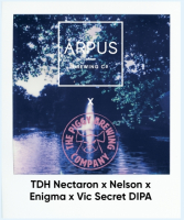 Пиво TDH Nectaron x Nelson x Enigma x Vic Secret DIPA