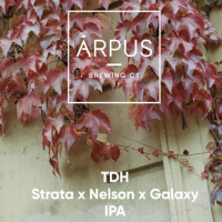 Пиво TDH Strata x Nelson x Galaxy IPA