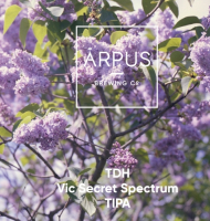 Пиво TDH Vic Secret Spectrum TIPA