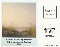 Пиво TDH Vic Secret Spectrum x Citra Lupomax x Galaxy TIPA