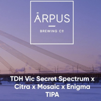 Пиво TDH Vic Secret Spectrum x Citra x Mosaic x Enigma TIPA