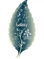 Пиво Galaxy