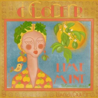 Пиво Lime & Mint Cider