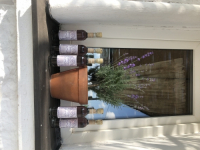 Пиво Metheglin Lavender Batch #2