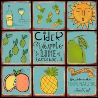 Пиво Pineapple & Lime Lactobacilli Cider