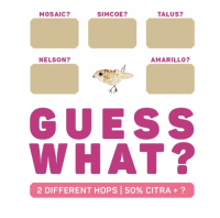 Пиво GUESS WHAT? Citra + ? | PURPLE