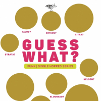 Пиво GUESS WHAT? FUNK Пиво GUESS WHAT? FUNK