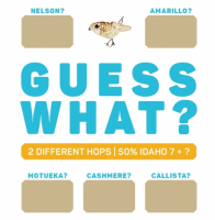 Пиво GUESS WHAT? IDAHO 7 + ? | BLUE Пиво GUESS WHAT? IDAHO 7 + ? | BLUE