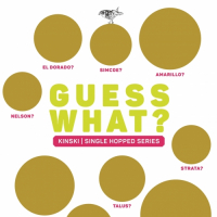 Пиво GUESS WHAT? KINSKI Пиво GUESS WHAT? KINSKI