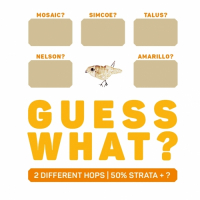 Пиво GUESS WHAT? Strata + ? | YELLOW Пиво GUESS WHAT? Strata + ? | YELLOW