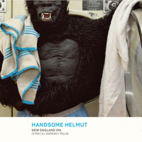 Пиво HANDSOME HELMUT | pommes & disco series 4/5