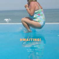 Пиво HWAITING! | sommerblau series 1/5