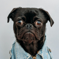 Пиво SIR COPY-A-LOT | analog collab series 2/5