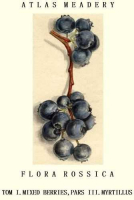 Пиво Flora Rossica - Myrtillus