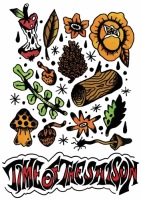 Пиво Time of the Saison