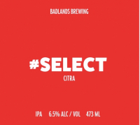 Пиво #Select (Citra 2022) Пиво #Select (Citra 2022)