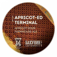 Пиво Apricot-Ed Terminal