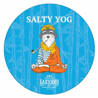 Пиво Salty Yog