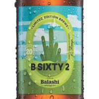 Пиво B SIXTY 2